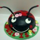 Lady Bug 1st Birthday